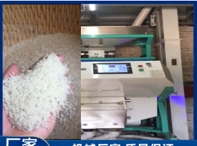 大型kaiyun·开云（中国）官方网站