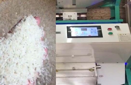 大型kaiyun·开云（中国）官方网站