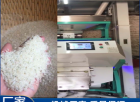 大型kaiyun·开云（中国）官方网站