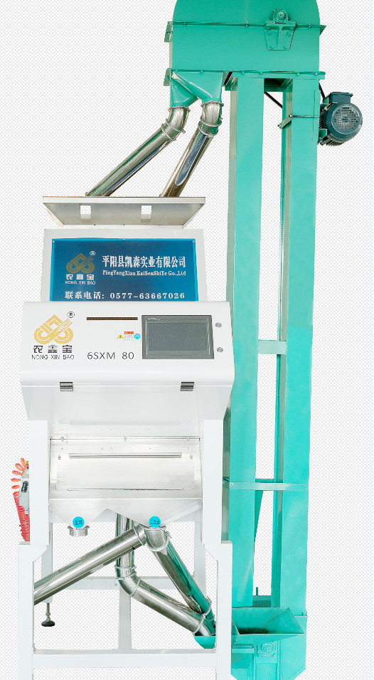 大型kaiyun·开云（中国）官方网站